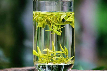绿杨春茶的功效与作用为什么扬州人都爱喝绿杨春茶？