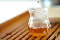 什么茶叶茶多酚含量高
