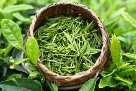 绿茶怎么做出来的只需四步带你了解绿茶的炒制方法