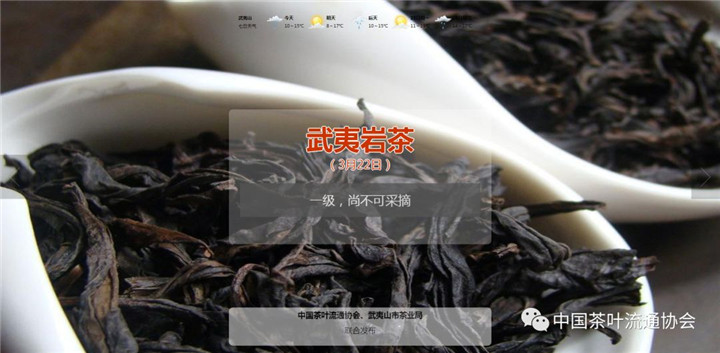 春茶采摘指数丨3月26日新茶青交易信息！