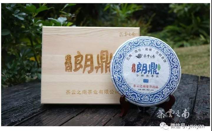 重磅消息：临沧再现“天价茶”，永德勐板乡大水塘古树132万成交