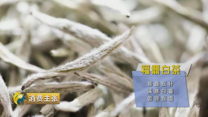 收藏市场调查：越陈越香品老茶｜CCTV财经频道消费主张（白茶篇）