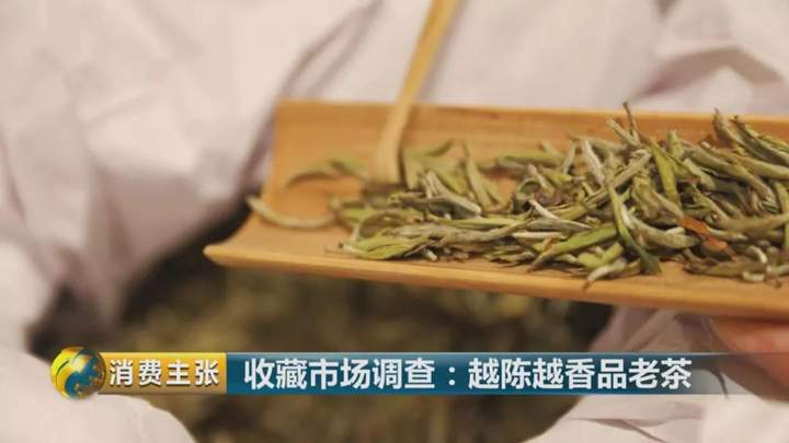 CCTV财经频道报道：懂茶还要会存茶，老白茶存放讲究多！