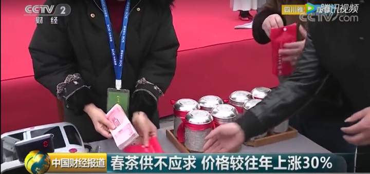 2019年四川雅安蒙顶山第一背篓春茶上市，价格涨幅达20—30%