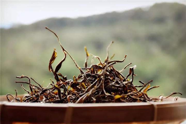 NASA发现世界变得越来越绿了，你知道茶叶做了多大贡献么？