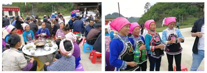 云南茶业茶企篇：从养羊到做茶，这位黔商女企业家就是个传奇