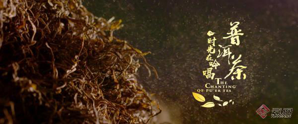 《普洱茶：时光在吟唱》系列纪录片11月10在云南卫视播出