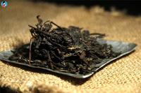 勐海县野生茶树资源申遗启动仪式侧记：留给世界的野生茶香