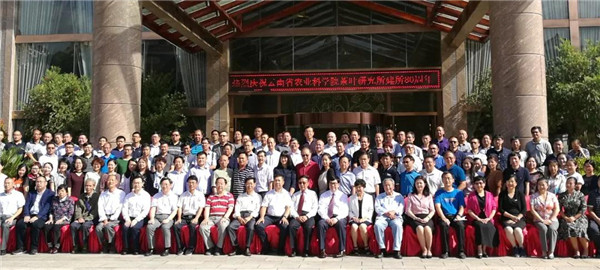 云南省农科院茶叶研究所建所八十周年庆祝大会隆重举行