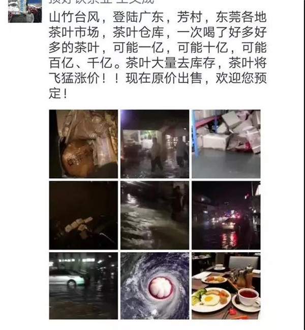 广州芳村之痛：去年着火，今年台风，茶叶损失目前无法统计！大益千羽孔雀打水漂