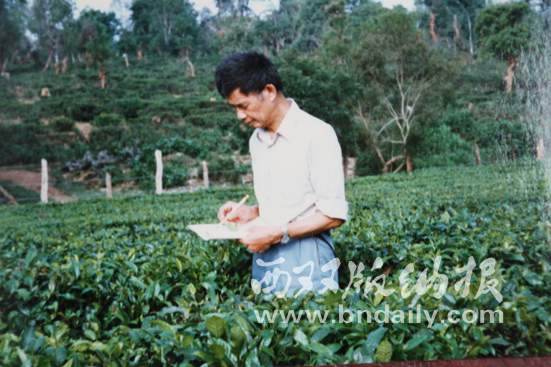 茶树病虫害研究学科重要开拓者：追忆省农科院茶叶研究所副研究员罗亨文