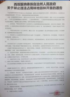 县林业局回应：网传勐海茶园被“野蛮砍伐”