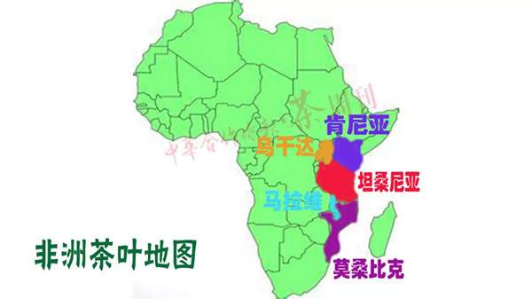 中非论坛前，快看“非洲茶叶地图”！