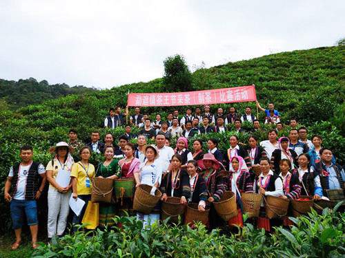 聚焦勐海茶王节：第十届勐海国际茶王节将于9月28日开幕