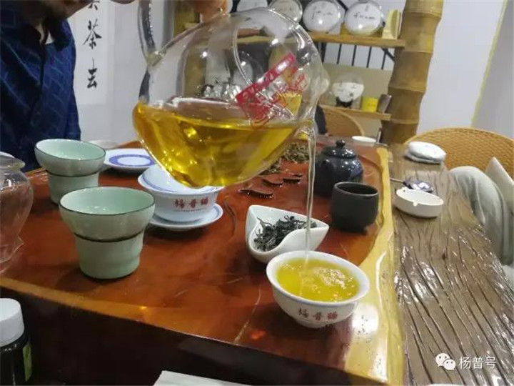 杨普号：喝茶不识同庆河，喝尽易武也枉然