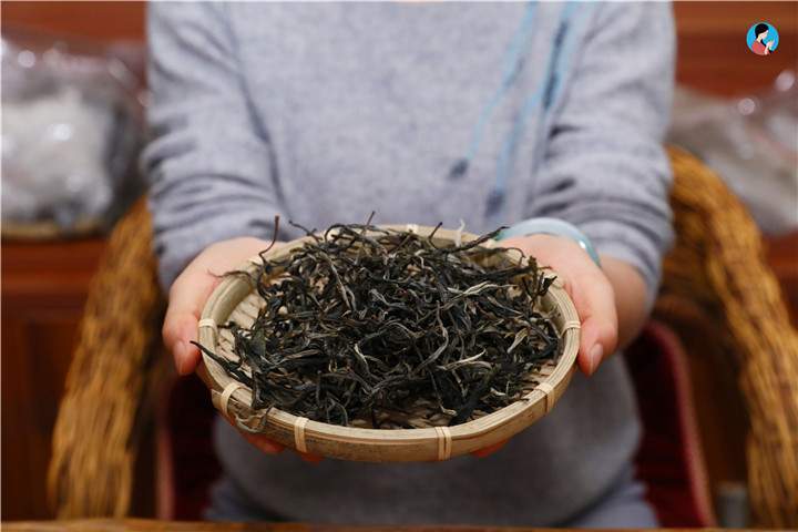 南茗佳人2019茶山行｜曼松，红泥何盘盘，古茶树1年的生长周期是其它地方的10年