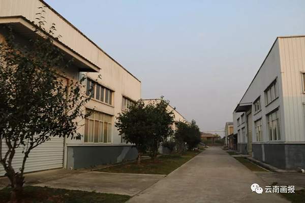 中茶勐海工厂：80年前勐海因一片叶子曾引发大事，如今将再度重现