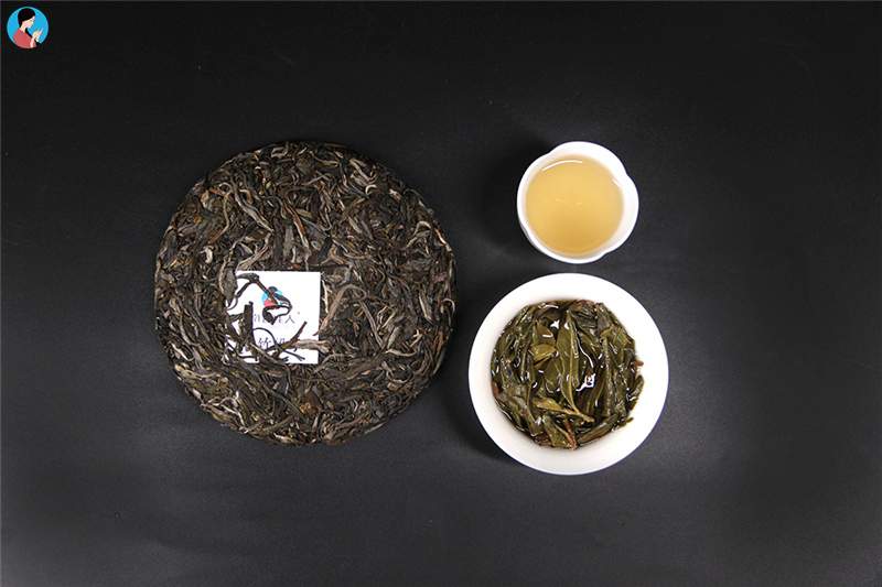 探秘云南西双版纳最高山峰“滑竹梁子”，发现古茶的美妙