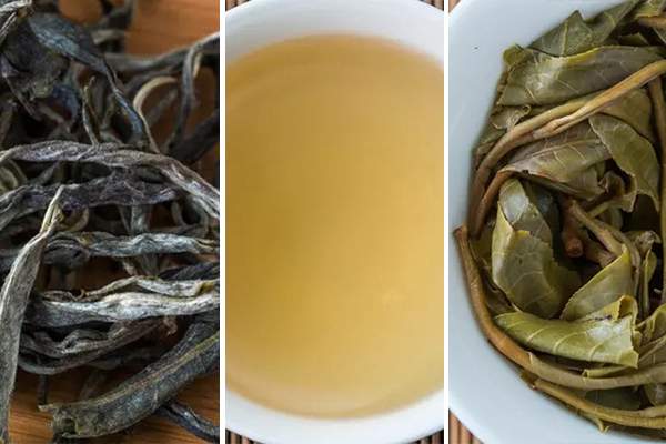 米地古茶：六百年墨江米地古茶园的新生