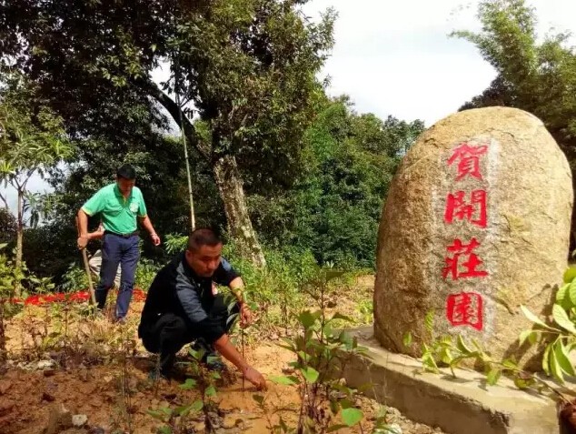 勐海县生态茶园建设现场培训会在六大茶山贺开庄园举行