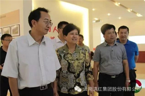 中共临沧市委副书记、市长杨浩东到滇红集团调研