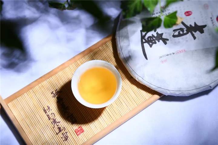 说茶观丨古树茶为什么耐泡？