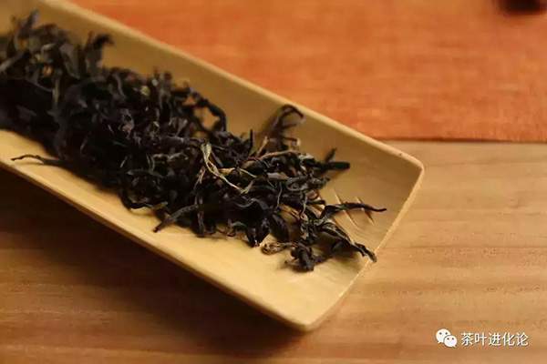 茶叶进化论：滇红的香气因何而来？