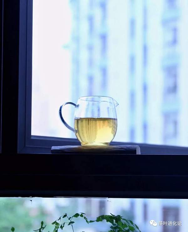 茶叶进化论：喝茶发热，不只是因为热水
