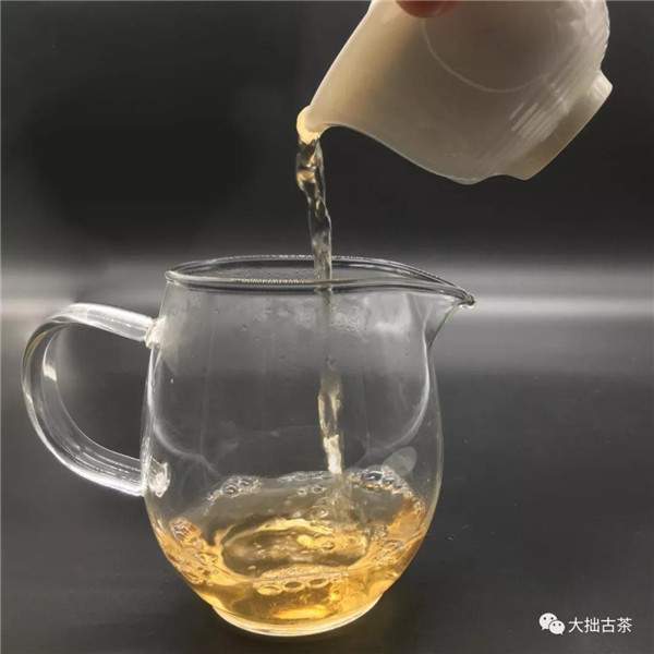 让古树茶成为日常饮茶的生活方式
