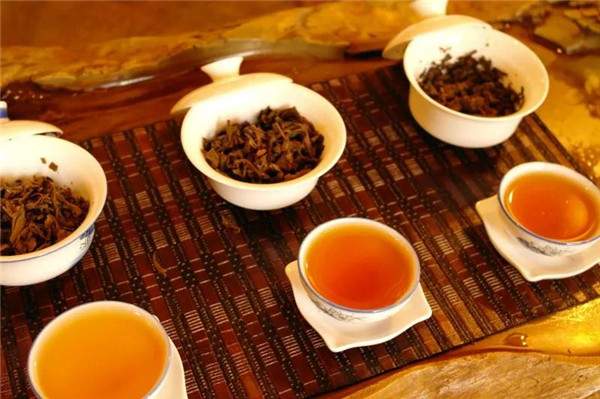 中国茶界批判｜为何张嘴闭嘴都是“古树茶”？