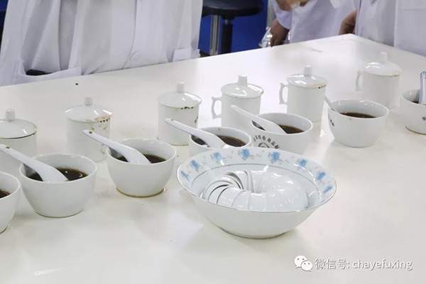 云南最厉害的几位评茶专家告诉你怎么识茶最靠谱