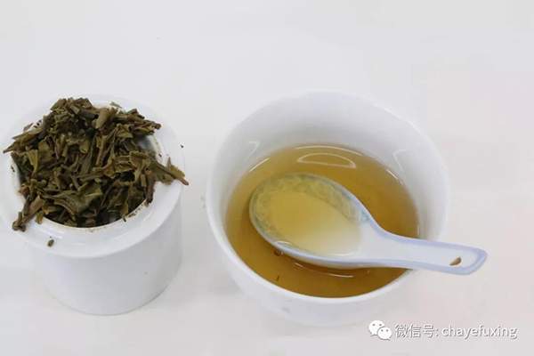 云南最厉害的几位评茶专家告诉你怎么识茶最靠谱