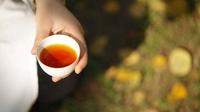 茶中的韵味是什么味道？高山韵到底如何分辨？