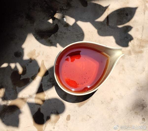 茶人微语录︱为什么清蒸绿茶有海藻味，炒青绿茶就没有？