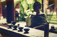 由云茶协会八点建议引发对古树茶行业的思考