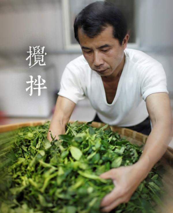 茶农心中都有本账，看看外购“茶青”加工有多大市场魅力