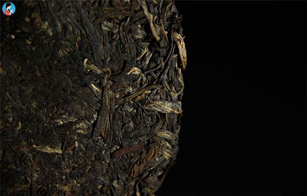 茶学博士陈文品：老茶、山头茶、古树茶是云茶的三匹黑马