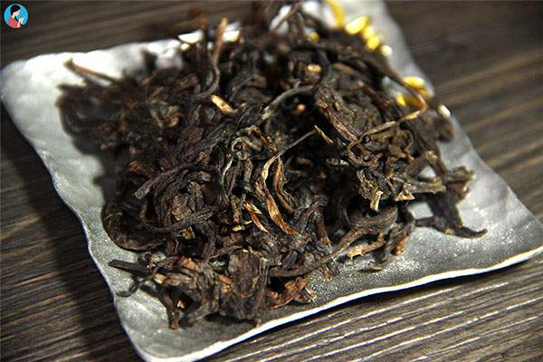 茶学博士陈文品：老茶、山头茶、古树茶是云茶的三匹黑马