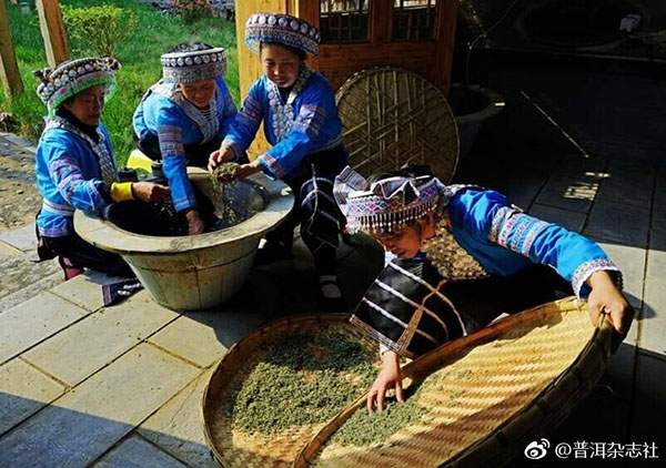 茶人微语录︱1000多家茶企业汇聚深圳，共同上演茶业盛宴