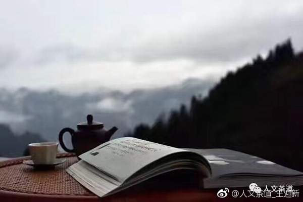 茶人微语录丨让世界端起一杯中国茶