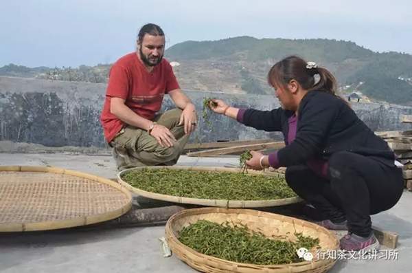 沱茶源流之三：沱茶工艺与品质特征溯源