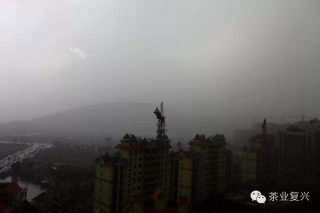 重大消息：昨晚云南茶山遭受冰雹袭击，损失待评估......