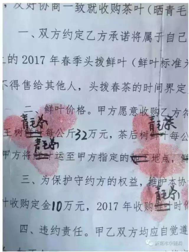 老班章再创神话：2017茶王树春茶32万/公斤，有人说花1亿也值