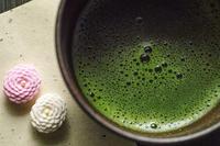 日本煎茶道与中茶博合作20周年：文化共通共同传承