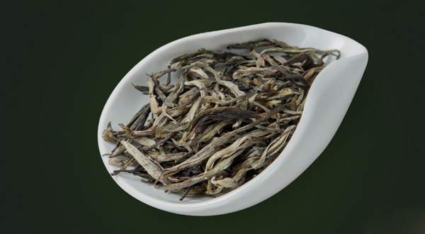 倚邦小叶种茶种考：小叶种茶是如何形成的？