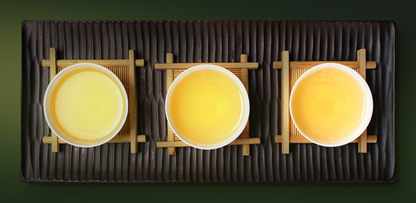 倚邦小叶种茶种考：小叶种茶是如何形成的？