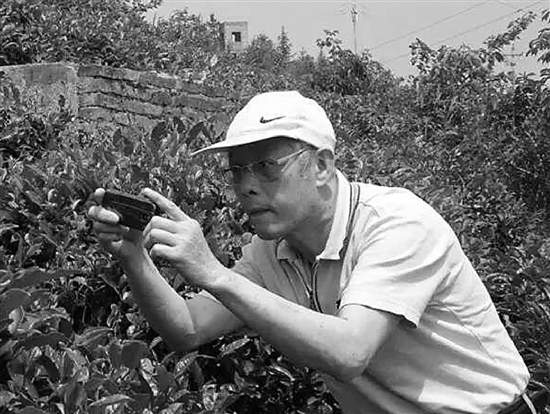 “茶多酚”之父杨贤强去世，享年77岁