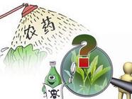 央广网：欧盟针对茶叶农残新规频出，茶企须谨慎应对