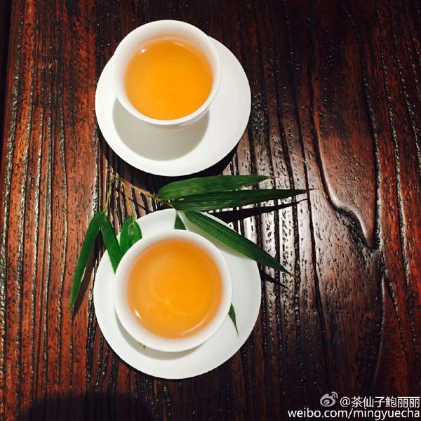 茶人微语录|如何区分“野生茶”与“抛荒茶”？