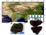 地质地球所等科研人员发现世界上最早茶叶实物